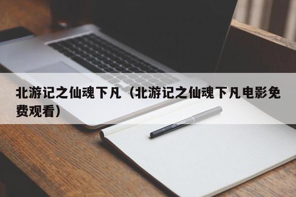 北游记之仙魂下凡（北游记之仙魂下凡电影免费观看）