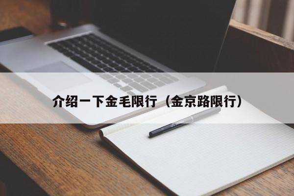 介绍一下金毛限行（金京路限行）