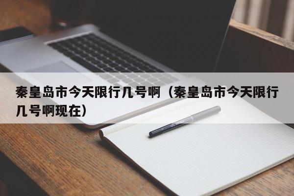 秦皇岛市今天限行几号啊（秦皇岛市今天限行几号啊现在）