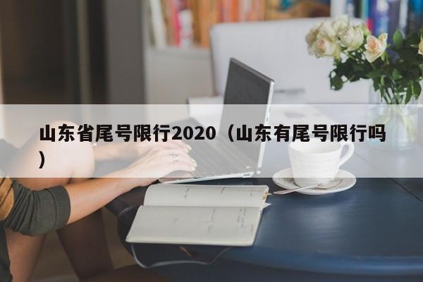 山东省尾号限行2020（山东有尾号限行吗）