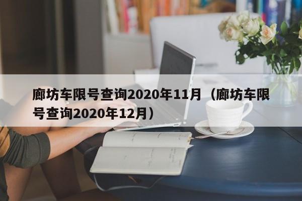 廊坊车限号查询2020年11月（廊坊车限号查询2020年12月）