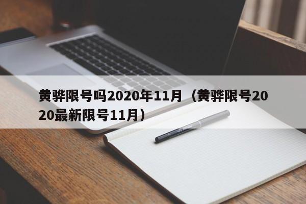 黄骅限号吗2020年11月（黄骅限号2020最新限号11月）