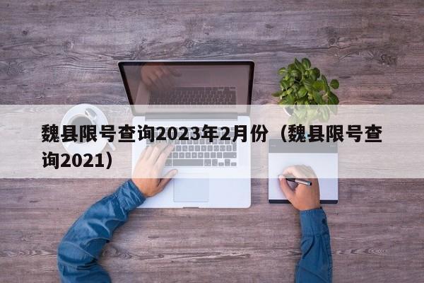 魏县限号查询2023年2月份（魏县限号查询2021）